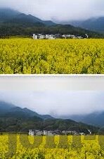 九游体育官方网站入口-九游体育魅力无限，启程你的精彩旅程