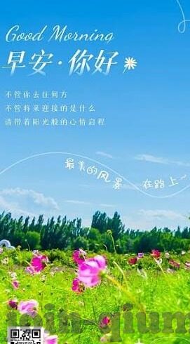 五队足球比分表-五队足球对决风云录，比分背后的战术博弈与激情碰撞